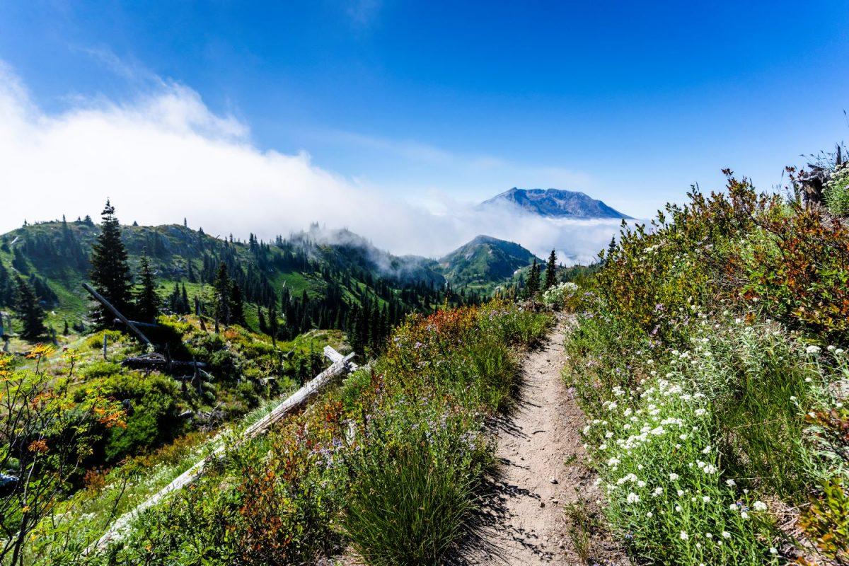 Picture of Mount St Helens over fog